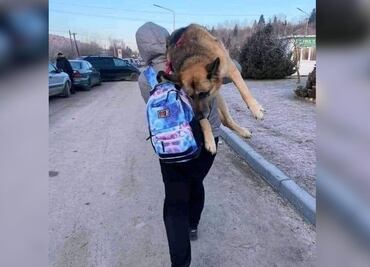Mujer carga a su perro 17 kms para huir de la guerra en Ucrania