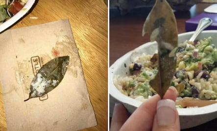 “Gringos” se indignan al encontrar “hojas de árbol” en su comida