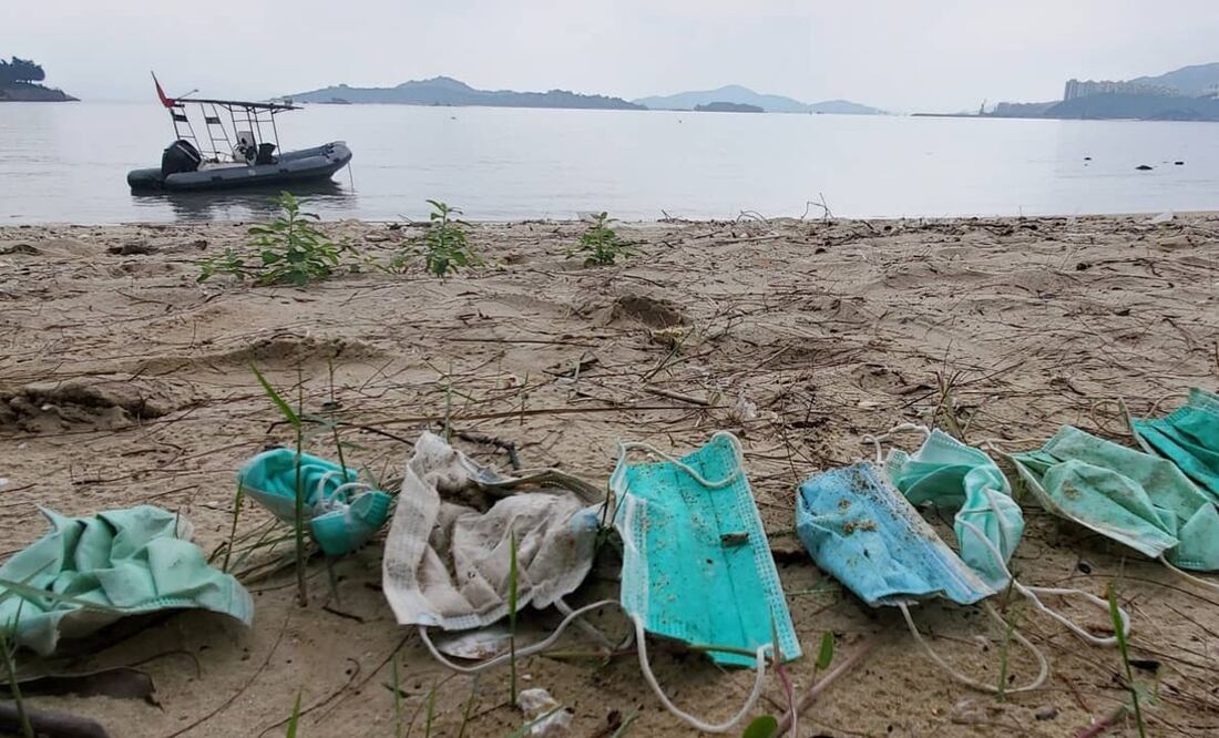 Foto: OceansAsia Facebook