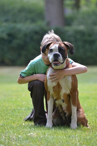 10 formas de ayudar a que los niños no le tengan miedo a los perros
