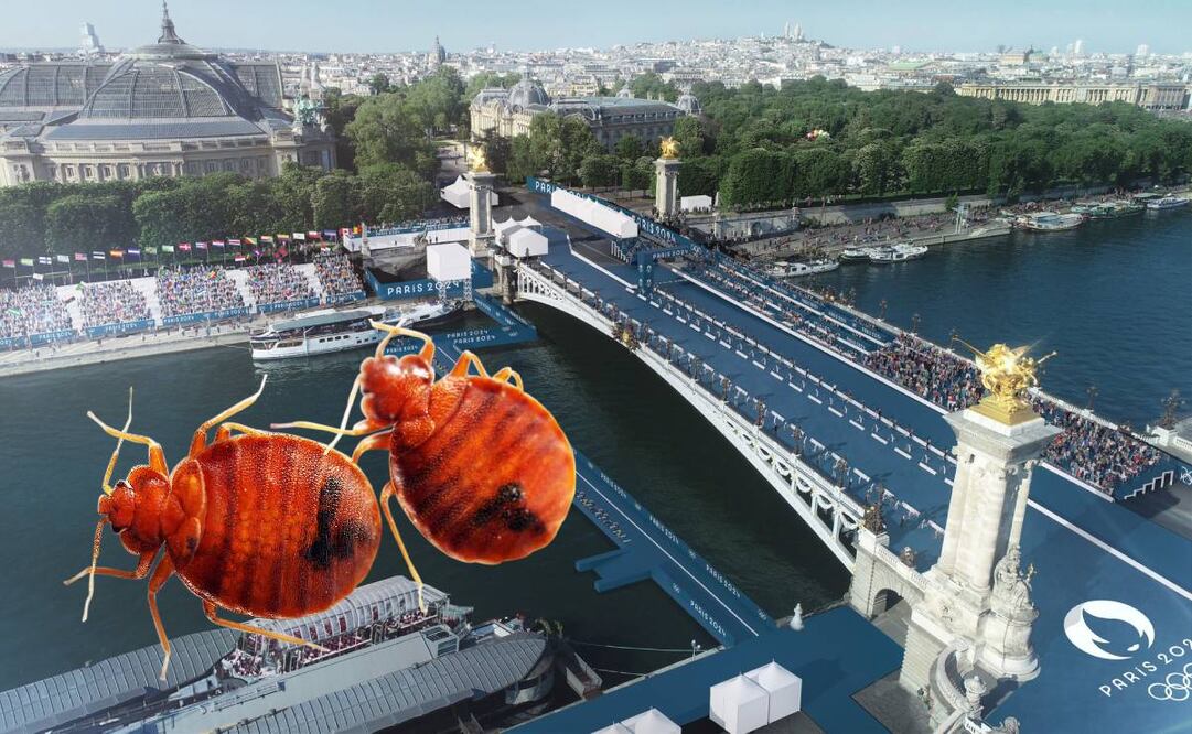 Las chinches invaden París a un año de los Juegos Olímpicos - Twitter: @Paris2024