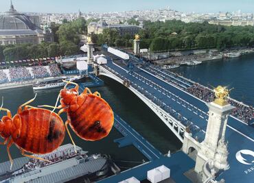 ¡De la chinchada! Preocupación previo a París 2024 por las chinches