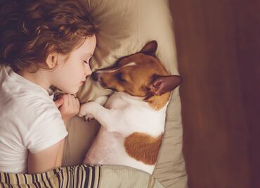 Las enfermedades que podrías contraer si tu mascota duerme contigo