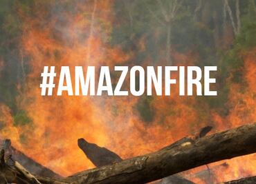 10 formas reales para ayudar al Amazonas