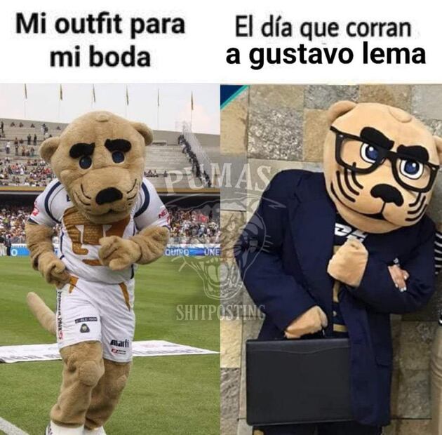 Pumas MEMES