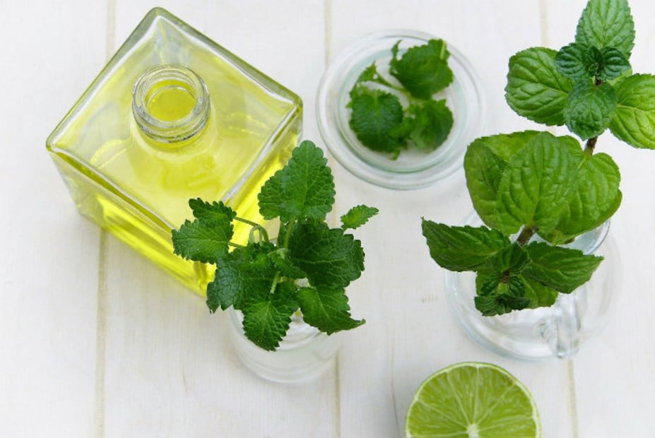 10 grandes beneficios de la menta en nuestra salud
