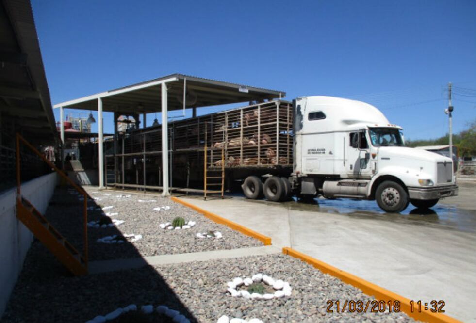 Foto: Cortesía Alimentos KOWI