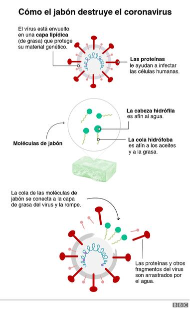 ¿Por qué el jabón es nuestra mejor arma contra el coronavirus?