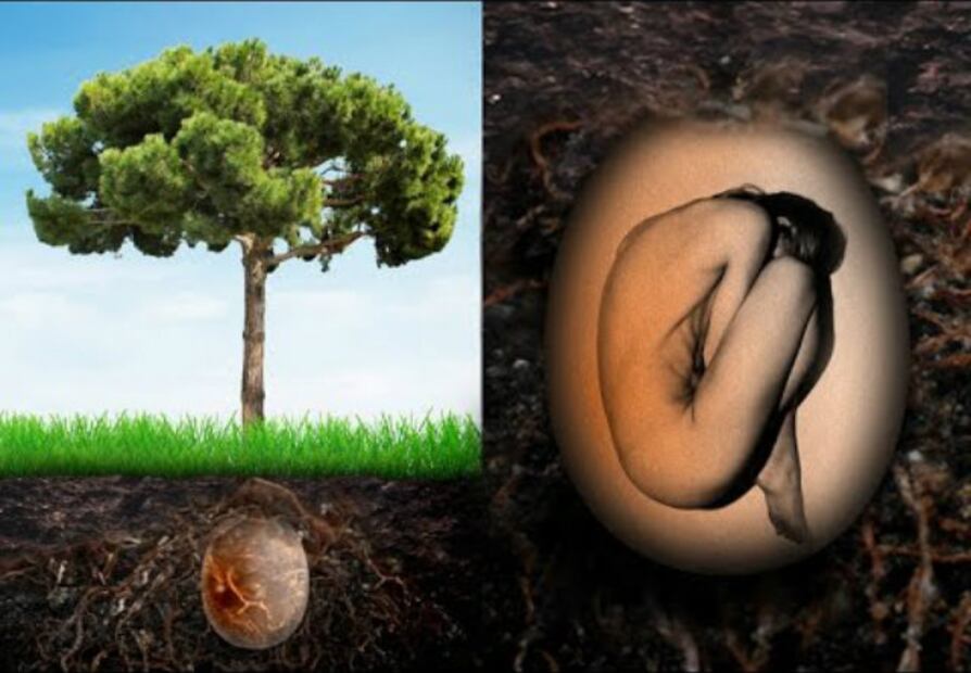 Los humanos alteran la química de la tierra desde la tumba