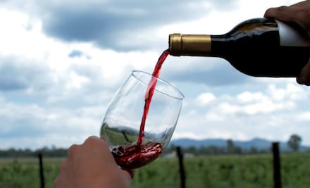 Disfruta las Rutas del Vino y las Fiestas de la Vendimia en Guanajuato