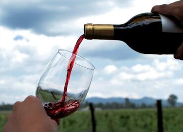 Disfruta las Rutas del Vino y las Fiestas de la Vendimia en Guanajuato