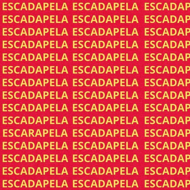 Desafía tu mente con el nuevo reto de sopas de letras sobre 'Escarapela'. Fuente: Genial Guru