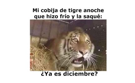 Los 10 mejores memes para recibir DICIEMBRE 2020