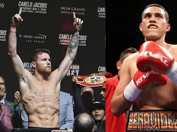 ¿Canelo Álvarez huyó a David Benavidez? Directivo de PBC confirmó que no lo quiso enfrentar