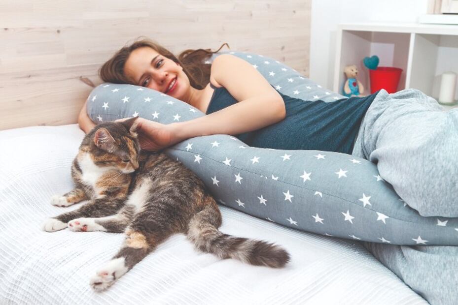 8 motivos para tener a un gato como compañía 
