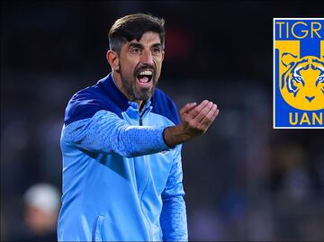 ¿Traición a Chivas? Veljko Paunovic suena fuertemente para sustituir a Robert Dante Siboldi en Tigres