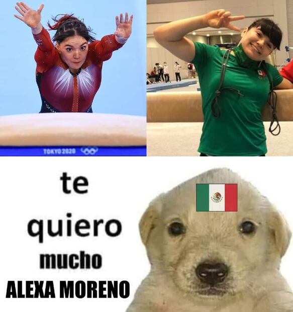 "Te quiero mucho": 10 memes del perrito que apoya a México en Tokio 2020