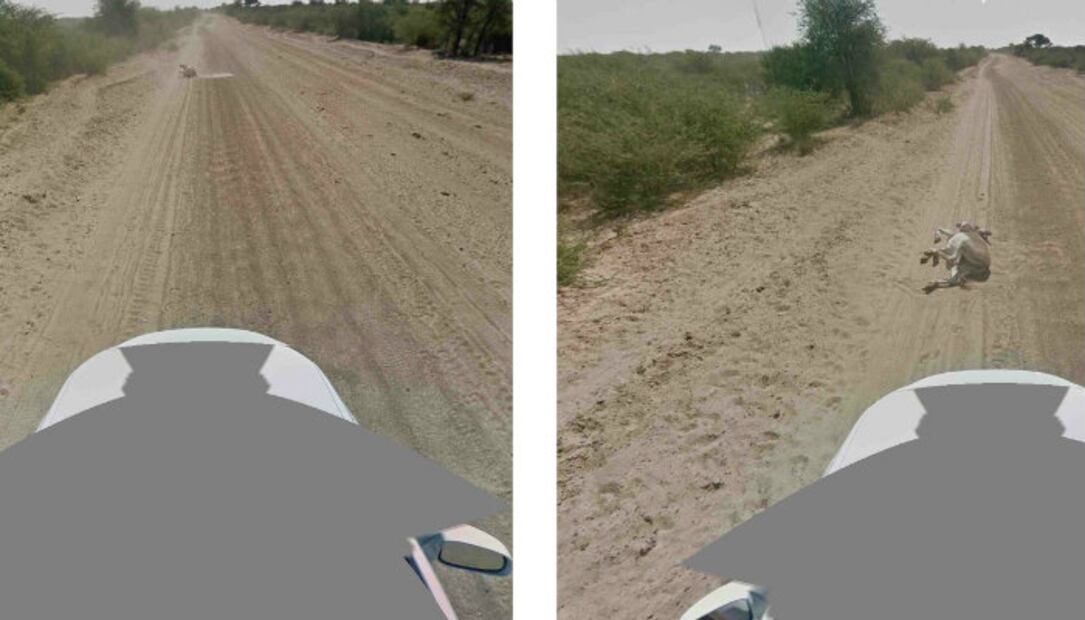 10 veces en las que Google Maps "metió la pata"