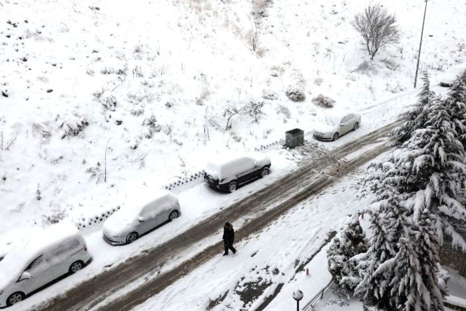 Fotos y videos de animales congelados por intensas nevadas en Turquía