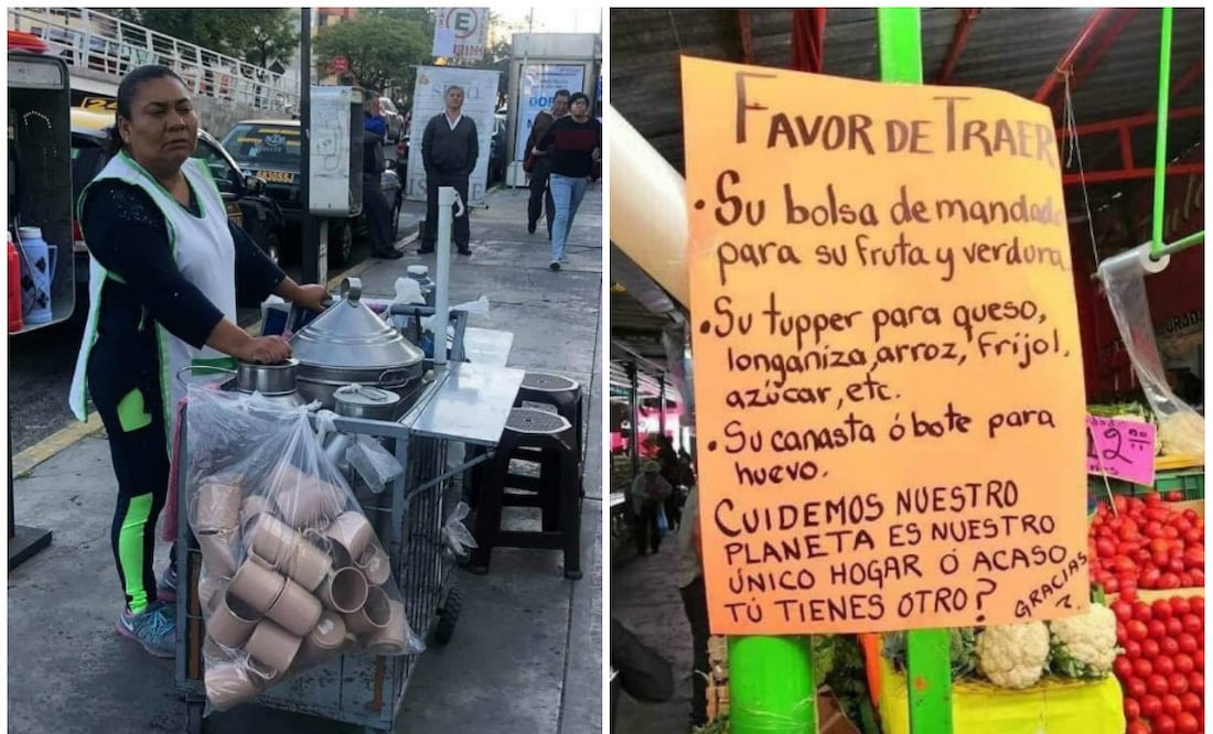 Foto: Facebook Conciencia Ambiental México