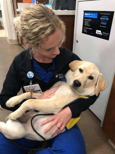 Perrita visita hospital para animar a médicos que combaten al coronavirus