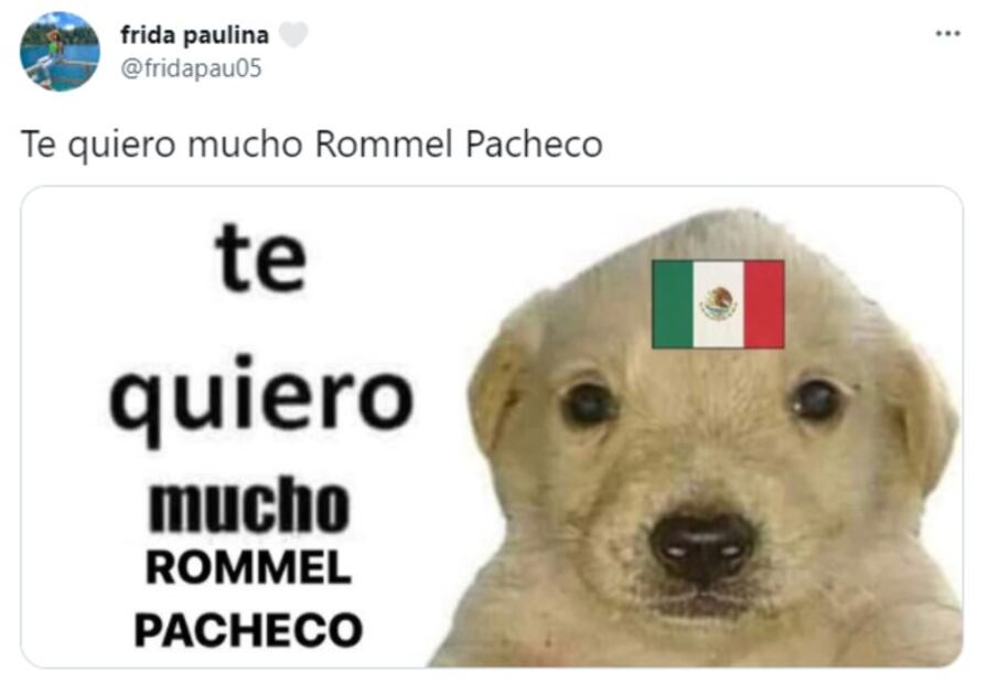 "Te quiero mucho": 10 memes del perrito que apoya a México en Tokio 2020