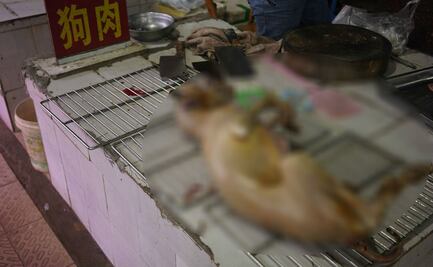 China continúa vendiendo carne de perro y gato en plena pandemia