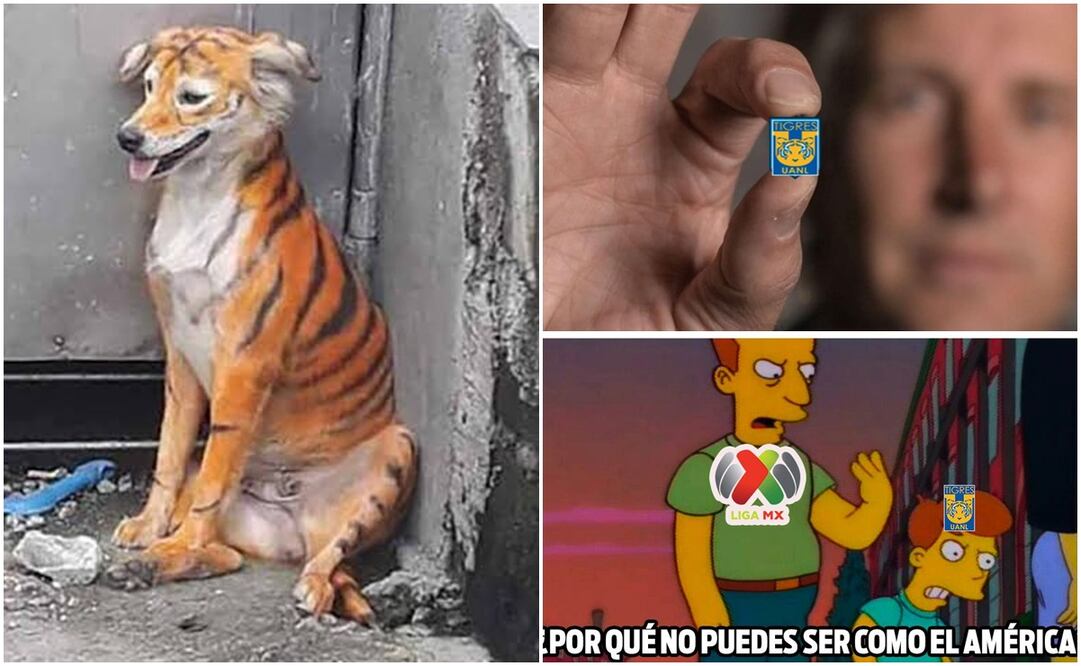 MEMES de Tigres por eliminación en Concachampions / FOTOS: Twitter