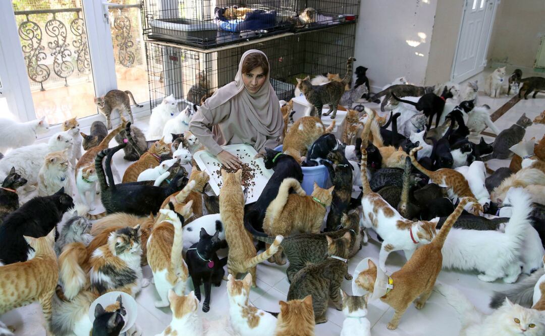 Foto: Mohammed Mahjoub/AFP