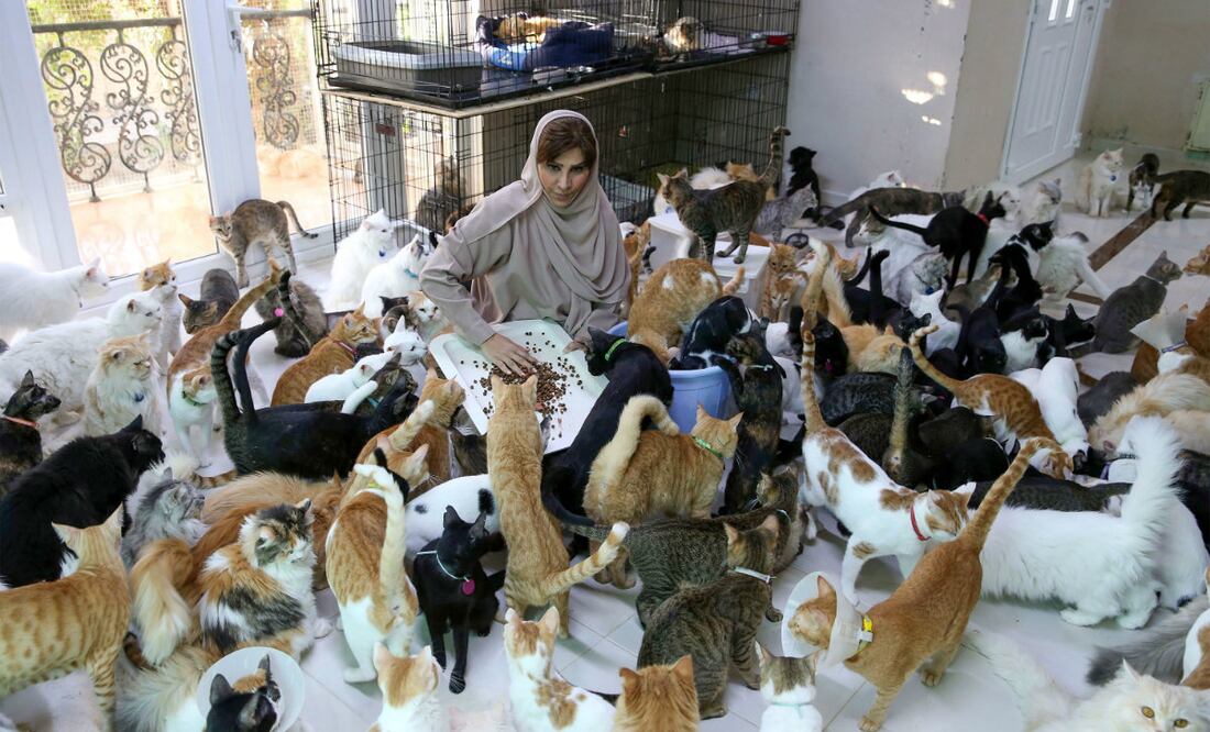 Foto: Mohammed Mahjoub/AFP