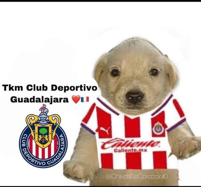 Chivas Memes