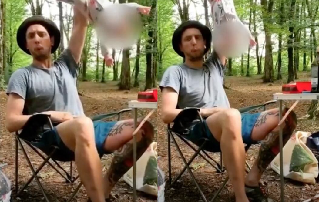 Foto: YouTube @O gato laranja