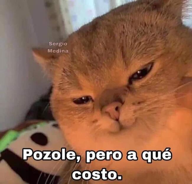 Los 10 mejores MEMES que dejó el sismo del 7 de septiembre de 2021