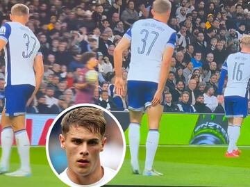 Jugador del Tottenham es señalado por hacer del baño dentro del campo