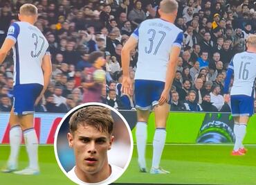 Jugador del Tottenham es señalado por hacer del baño dentro del campo