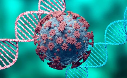 ¿Existe la inmunidad innata al Covid-19? Este estudio dice que SÍ