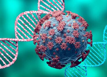 ¿Existe la inmunidad innata al Covid-19? Este estudio dice que SÍ