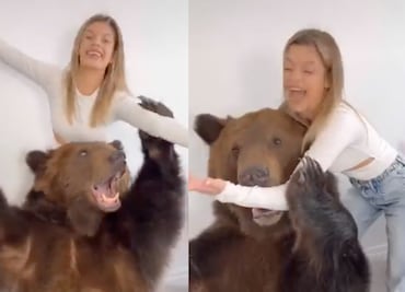 Video viral: Investigan a tiktoker por llevar un oso a casa para “entretener” a su hijo