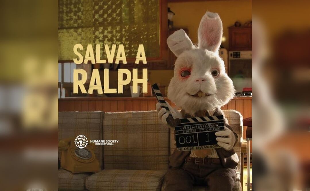 Imagen de Humane Society International