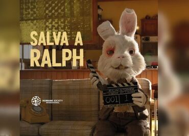 ¿Qué hay detrás de #SaveRalph? La cruel campaña para prohibir pruebas en animales