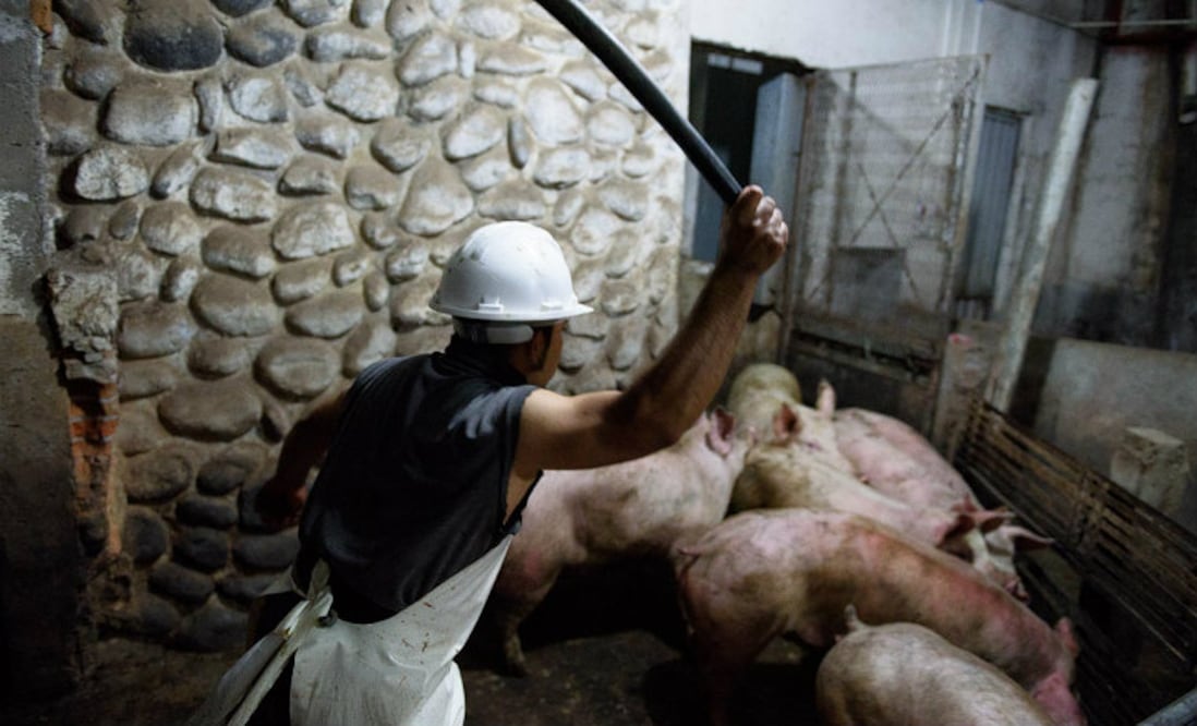 Foto: Aitor Garmendia / Tras Los Muros