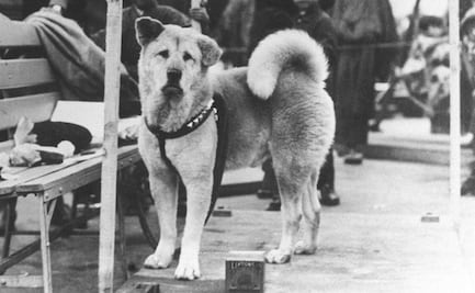 Hachiko, el perro que se convirtió en la leyenda más hermosa de lealtad