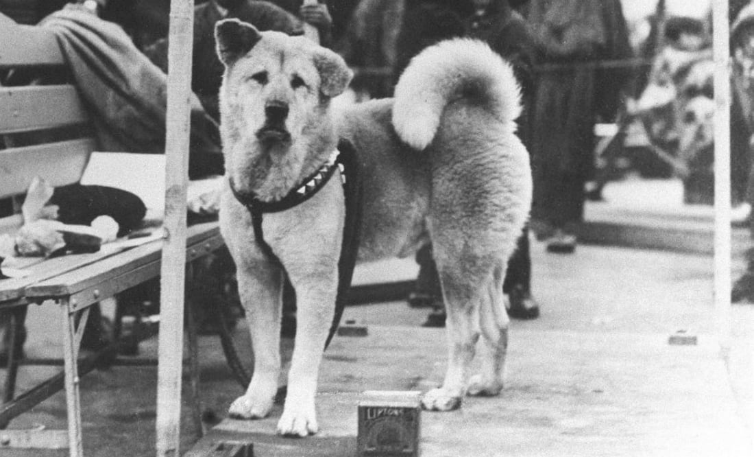 Foto: Wikipedia