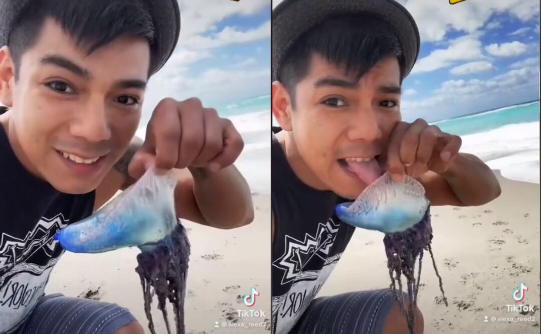 Foto: TikTok @alexa_reed2