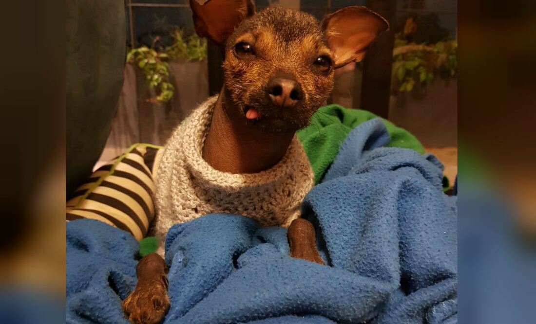 Foto: Germán Sánchez/De10.mx