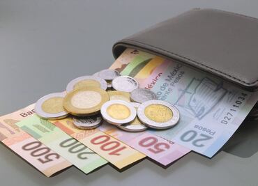 El SAT va contra las “Nenis” y las tandas; quiere que paguen impuestos