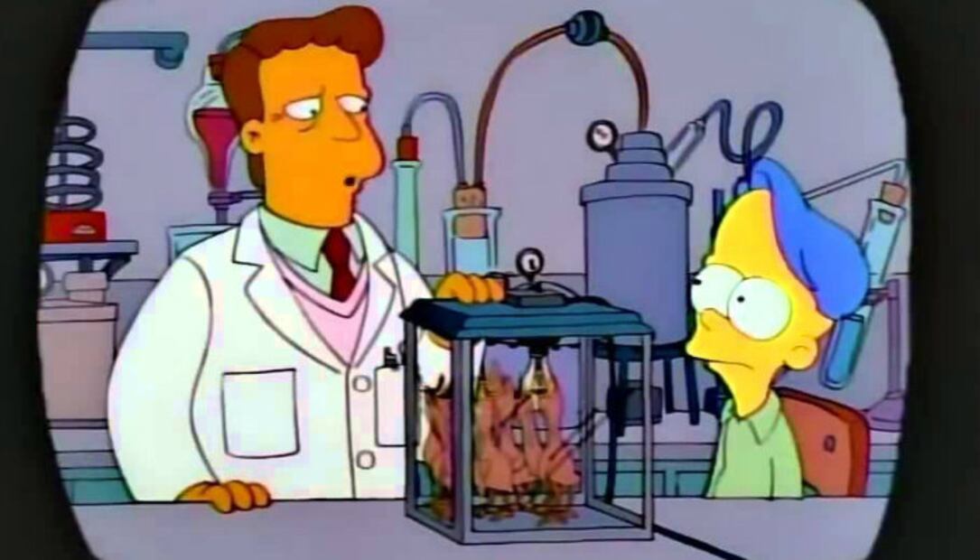 “Tal vez me recuerden por…” La trágica muerte del verdadero Troy McClure