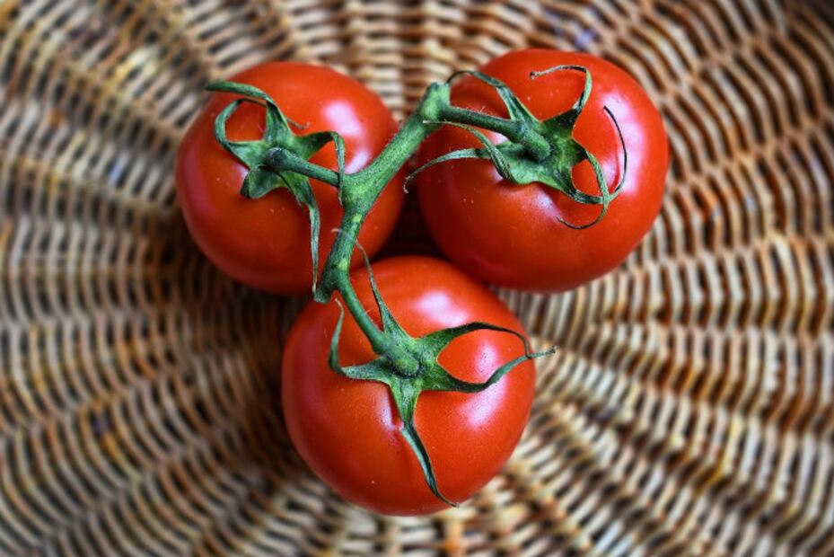 Las 5 verduras más saludables que DEBEN estar en tu dieta