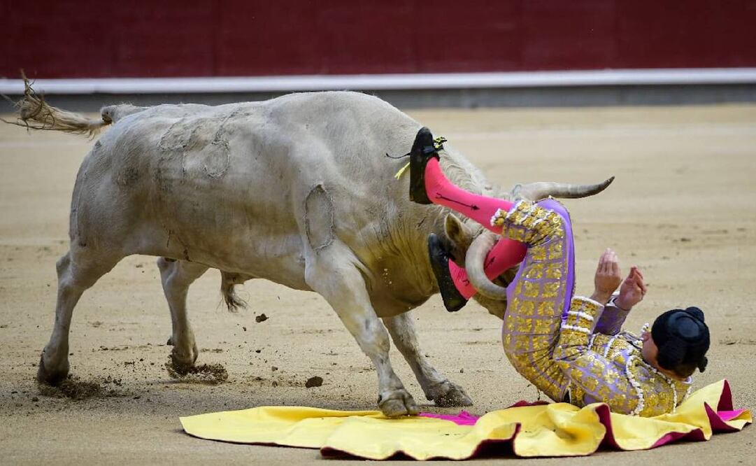 Jesús Moreno, novillero español, recibió una cornada en el muslo. Foto: @Libertadytoros