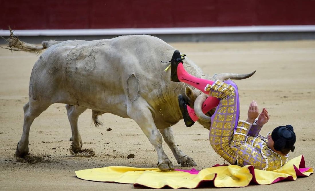 Jesús Moreno, novillero español, recibió una cornada en el muslo. Foto: @Libertadytoros